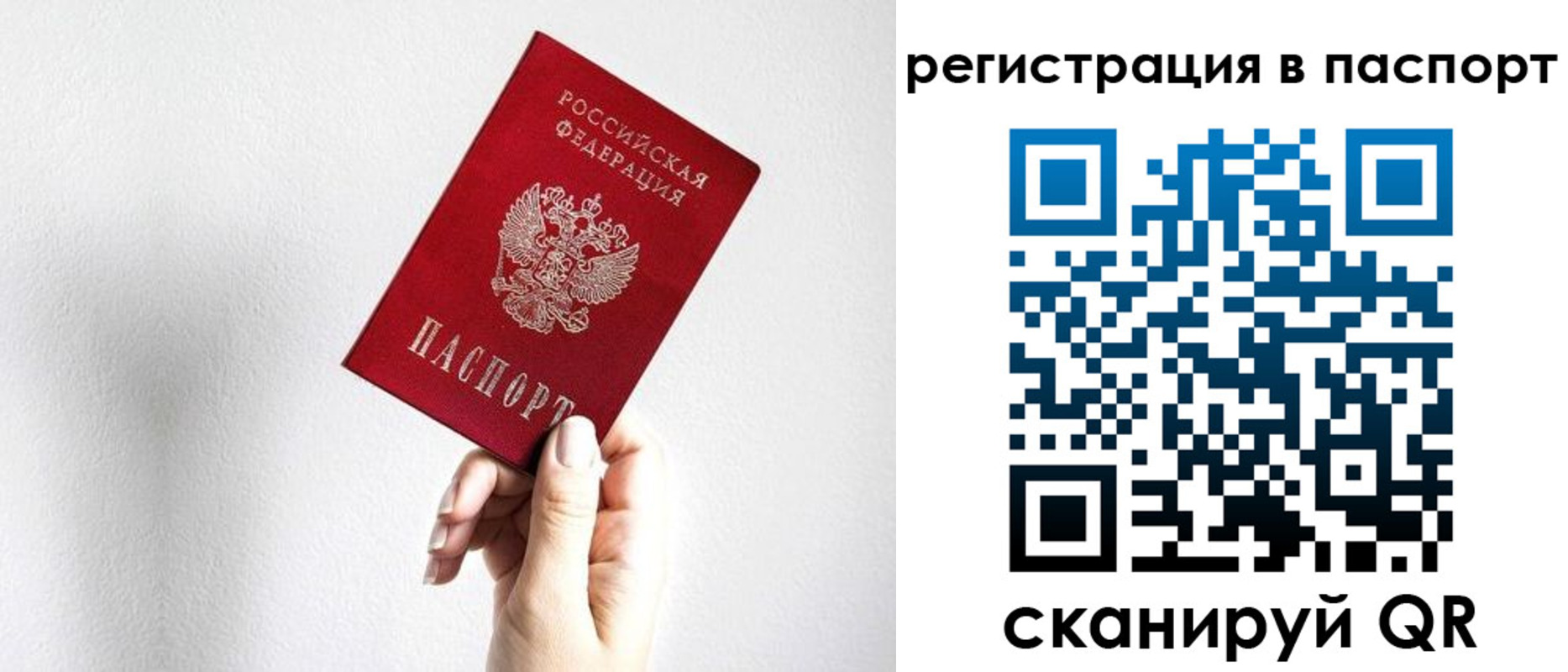 прописка законно в Палласовке